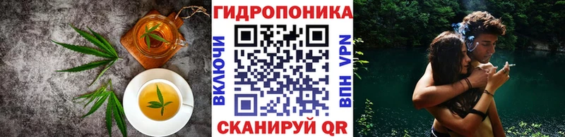 продажа наркотиков  Краснообск  Canna-Cookies конопля 