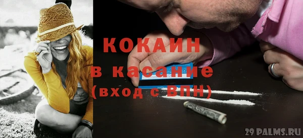 шишки Алексин