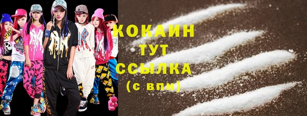 шишки Алексин