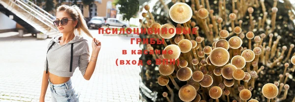 jwh Алзамай