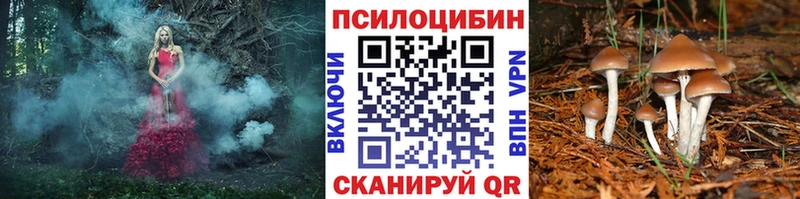 гидра зеркало  Краснообск  Галлюциногенные грибы ЛСД 